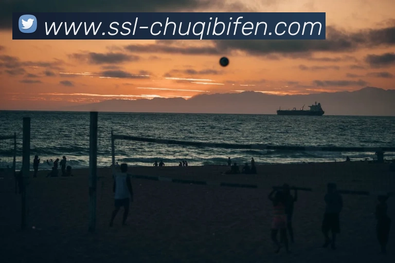 数据防护可视化